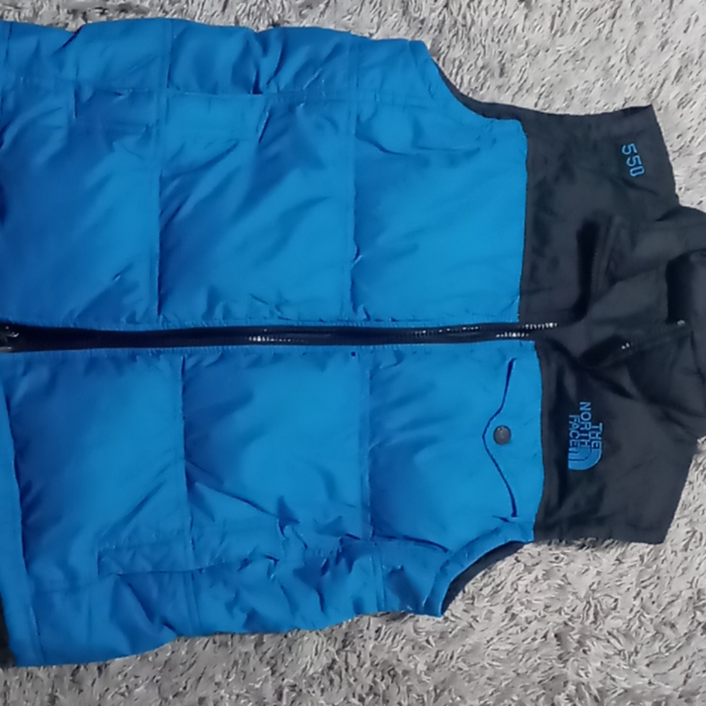 THE NORTH FACE VEST